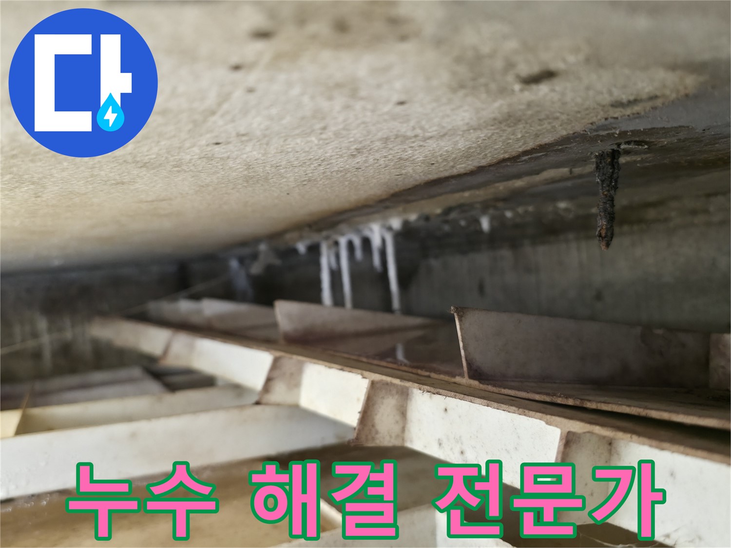 금천구 누수 전문가 - 독산동 현진아트빌 슬라브 누수 해결을 위해 최선을 다하겠습니다.