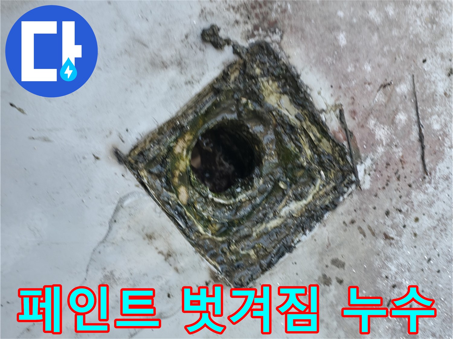 금천구 옥상 방수 페인트 벗겨짐 - 꼼꼼한 재도장으로 해결