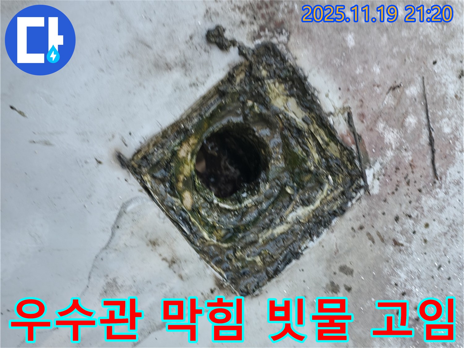 독산동 옥상 우수관 막힘 - 배수구 주변 빗물 고임으로 인한 누수 발생