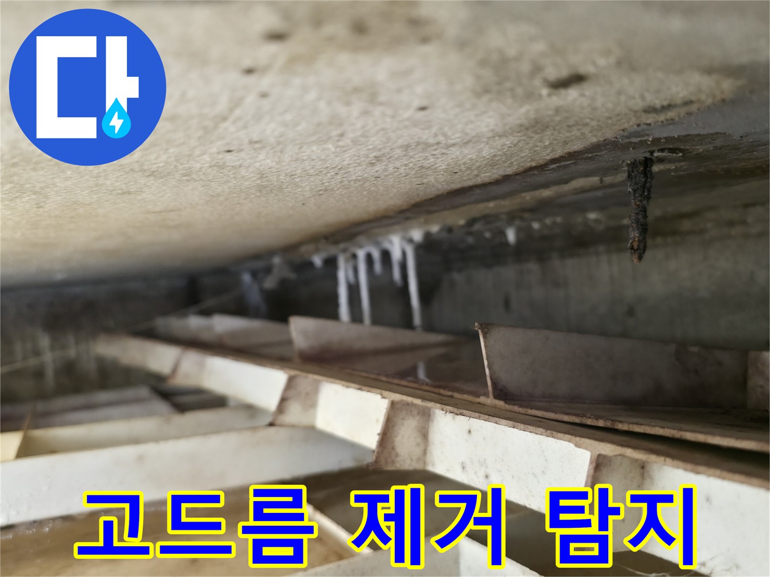 독산동 현진아트빌 누수 - 석회수 고드름 제거 후 누수 탐지를 진행하여 정확한 누수 원인을 찾습니다.