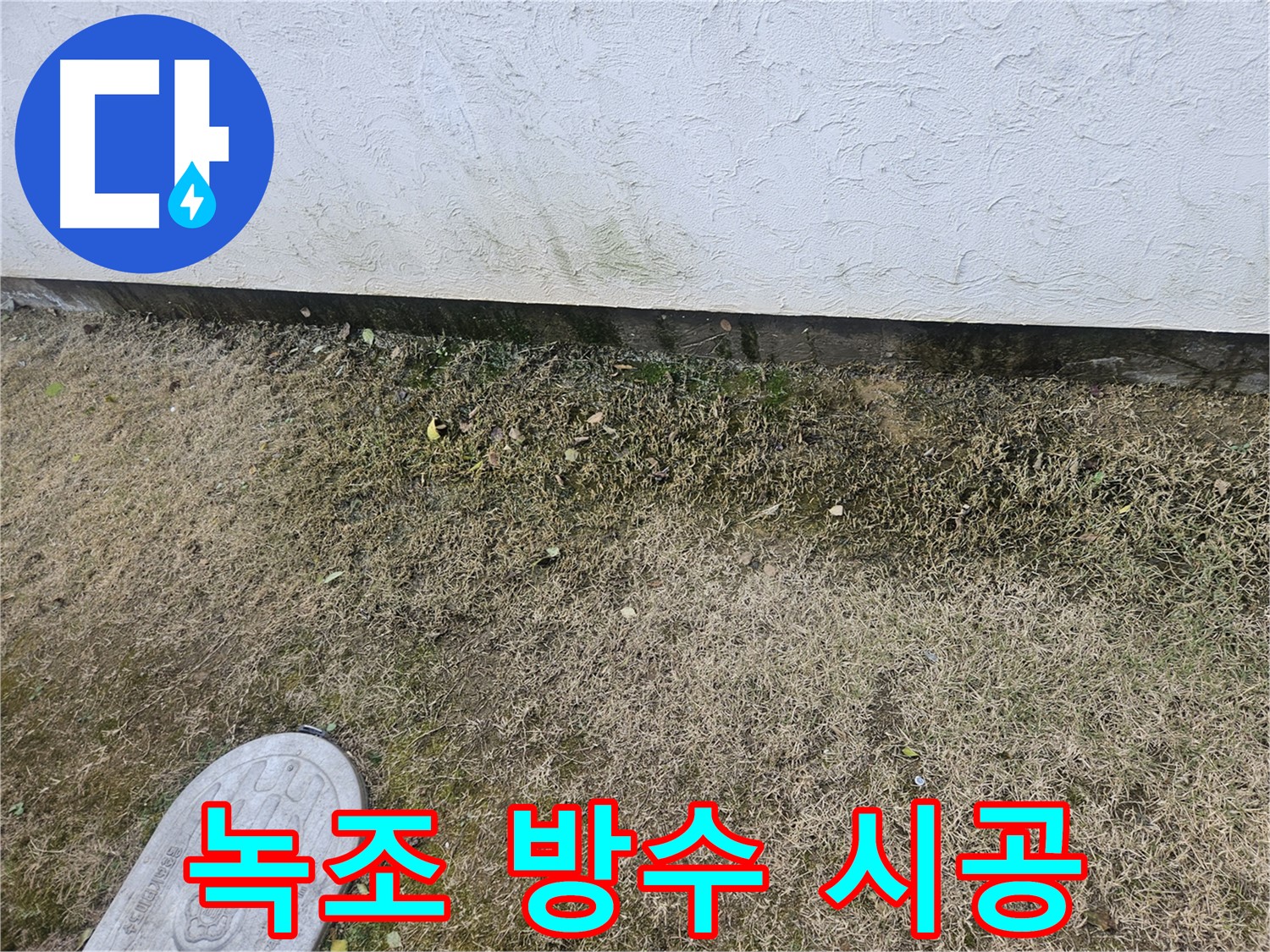 이천 아리역로 누수 - 녹조 제거 및 방수 공사 맞춤 시공 진행