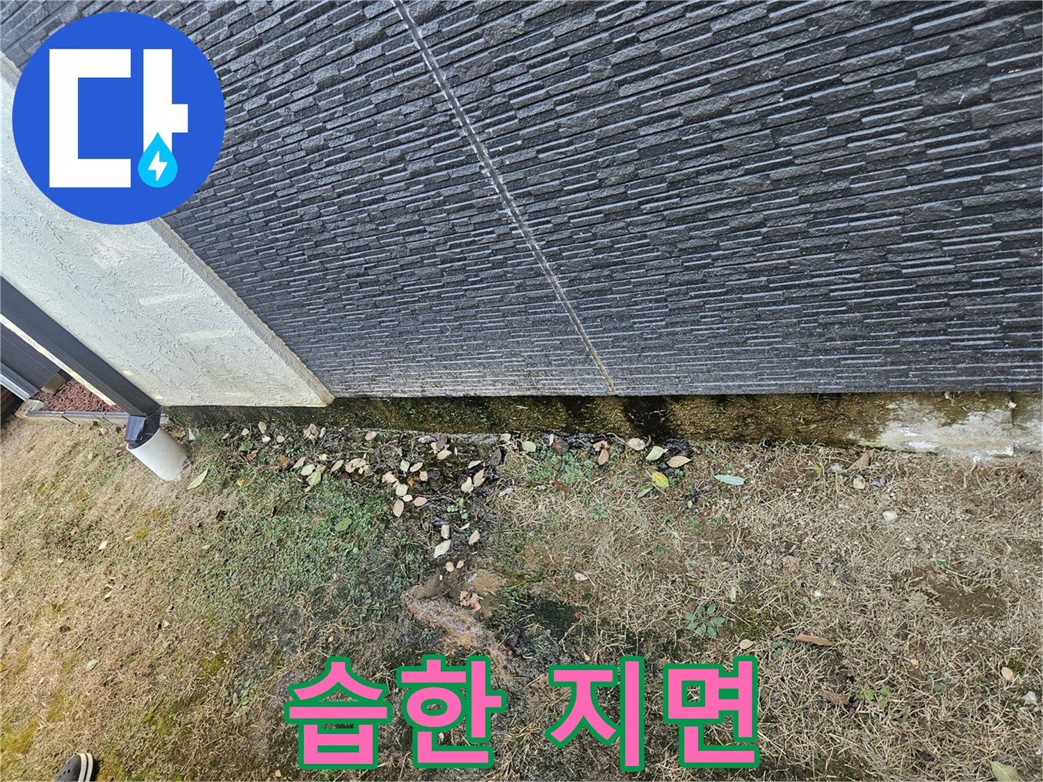 이천시 아리역로 주변 외벽 누수 - 습한 지면으로 인한 악취 - 쾌적한 환경 조성