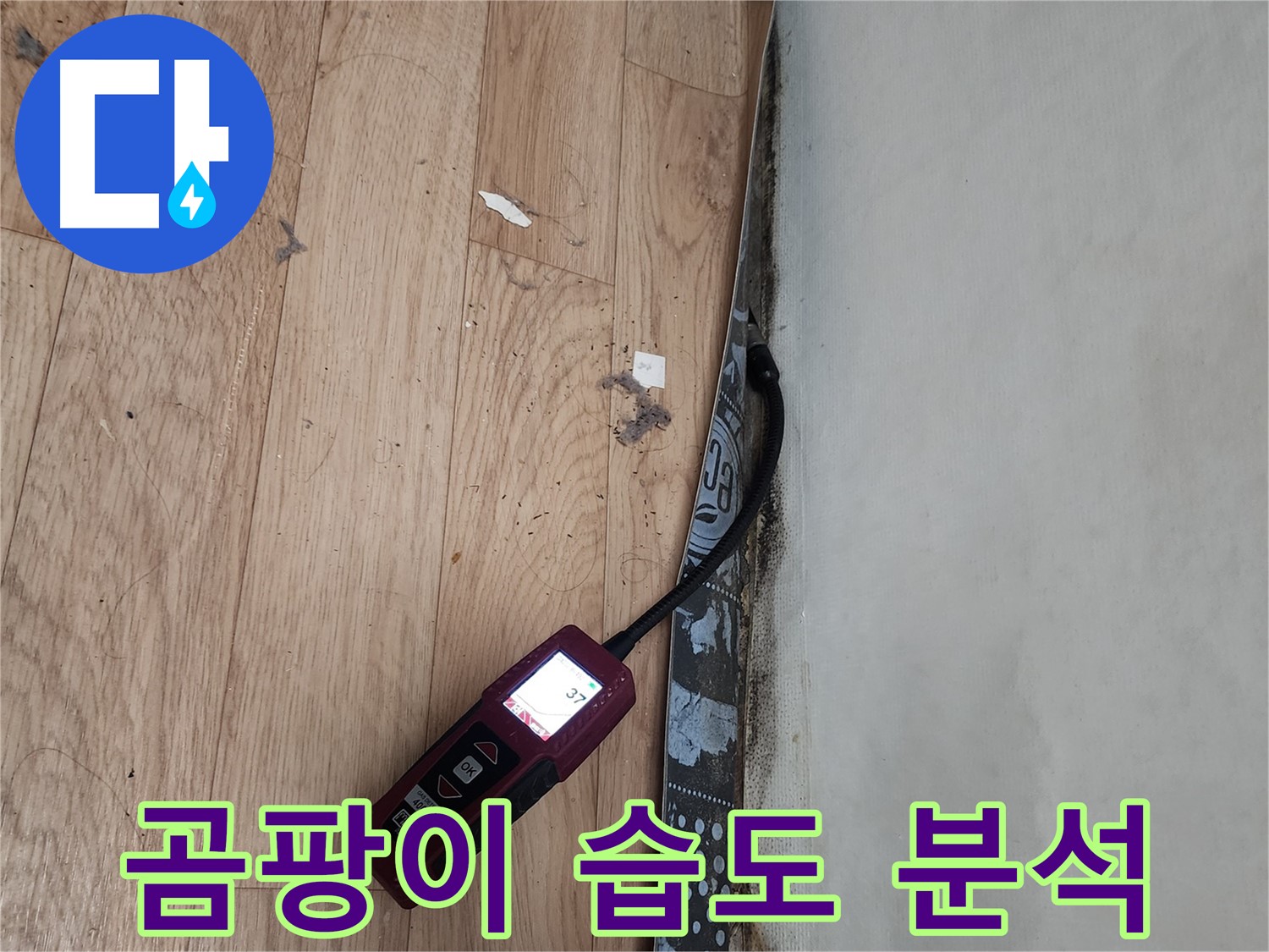 수원 정자동 누수탐지 - 곰팡이, 누수, 습도 상관관계 분석 과정 상세 공개