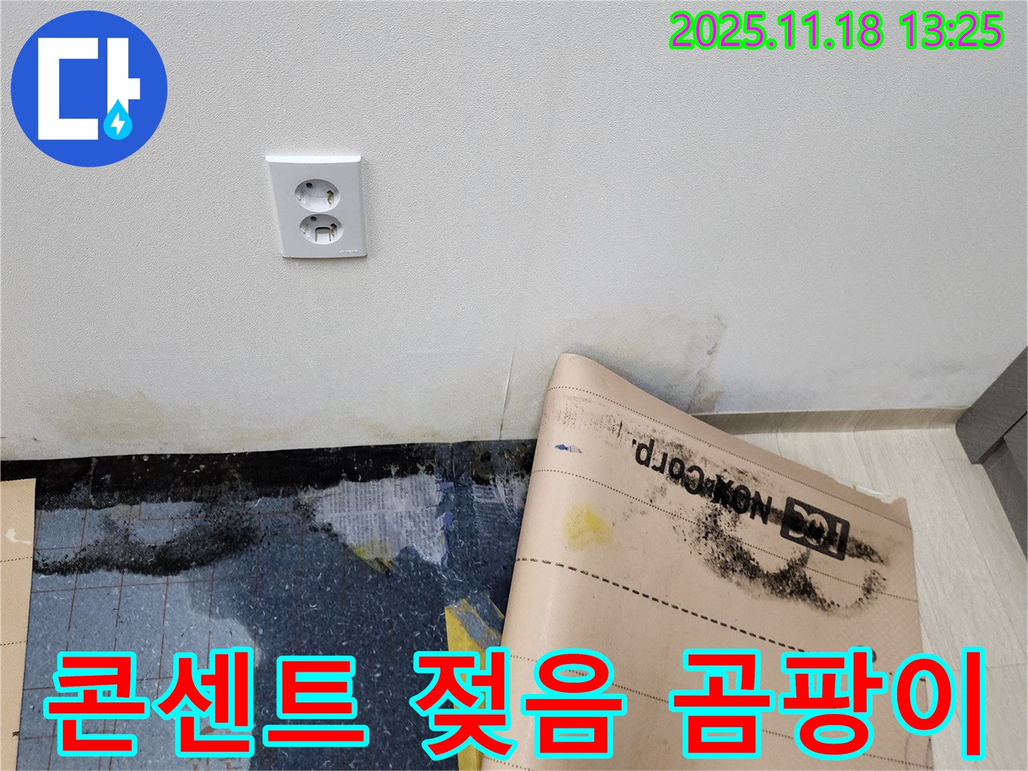 콘센트 주변 젖음과 곰팡이 - 감전 위험! 누수의 심각성을 보여주는 증거 - 포천 누수