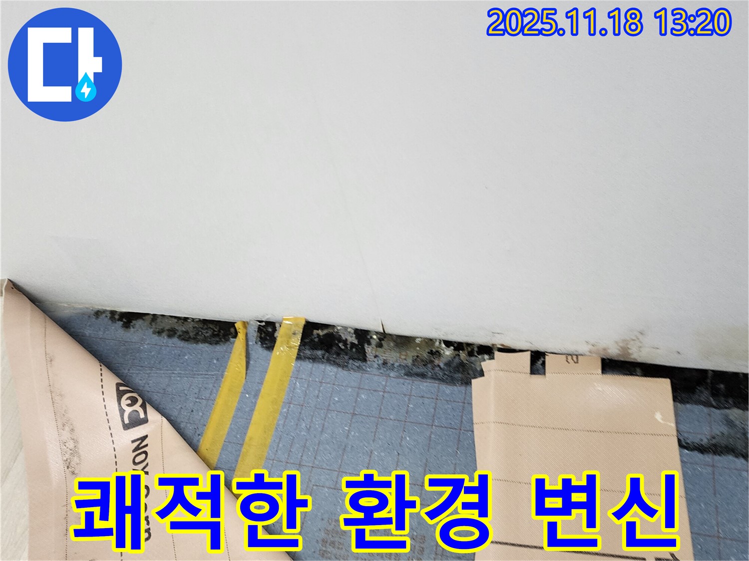 포천 내촌 누수 - 장판 밑 곰팡이와 습기, 쾌적한 환경으로 변신!