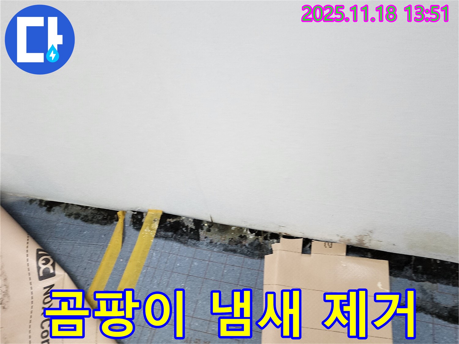 포천시 진목리 누수 현장 - 곰팡이 냄새를 완벽하게 제거하고, 상쾌한 실내 공기를 만들어 드립니다.