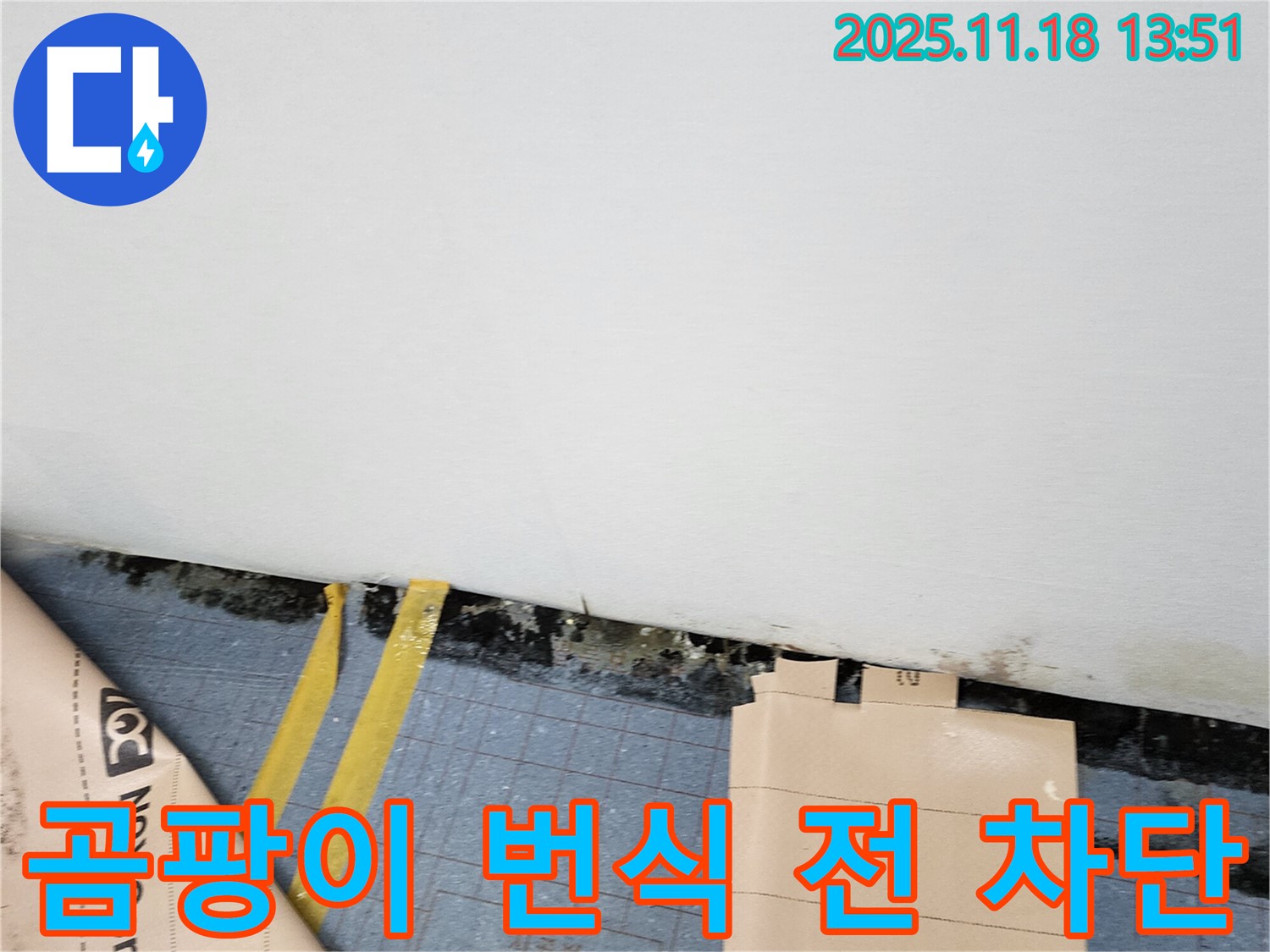 포천시 진목리 누수 현장 - 곰팡이 번식 전에 누수를 차단하여 쾌적한 실내 환경을 유지하세요.