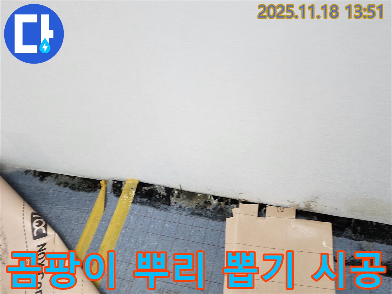 포천시 진목리 누수 현장 - 곰팡이 뿌리까지 뽑아 완벽하게 제거하고, 재발 방지 시공까지 해드립니다.