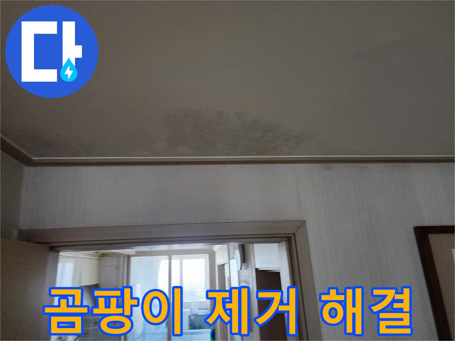 광명 두산위브 아파트 천장 누수 해결 및 곰팡이 제거 - 누수 전문가가 누수 문제를 해결하고 곰팡이를 제거하고 있습니다.