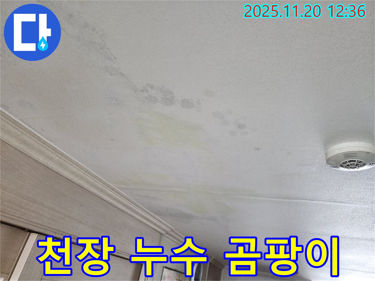 광명시 철산동 천장 누수 - 곰팡이 발생 전 해결