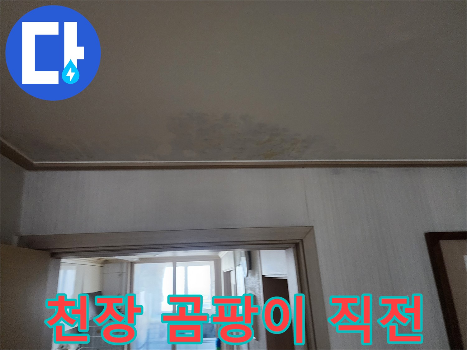 철산동 두산위브 아파트 천장 곰팡이 직전 - 누수 전문가가 곰팡이 발생 가능성을 진단하고 있습니다.