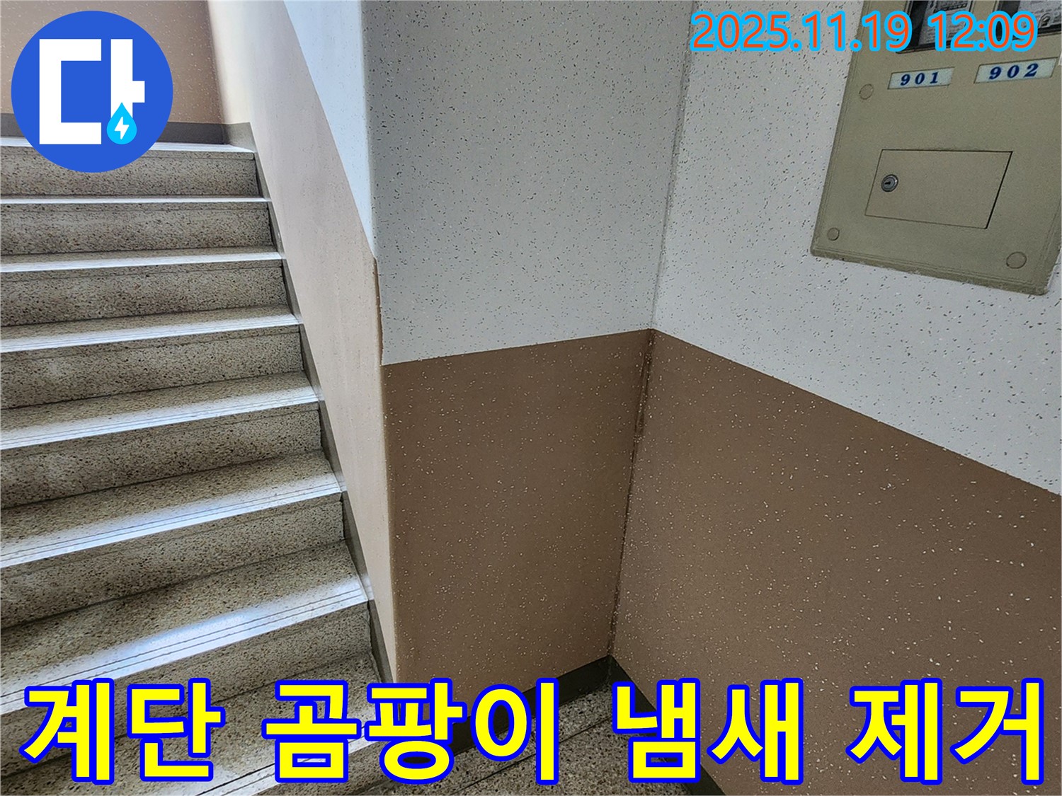 포천 아파트 누수 - 내촌면 마명리 계단 벽 곰팡이, 냄새까지 완벽하게 제거했습니다!
