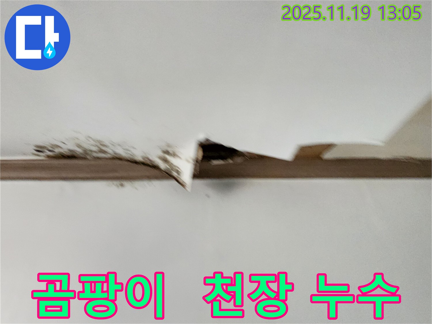 곰팡이 핀 천장 - 누수와 곰팡이의 연관성을 보여주는 사진입니다.