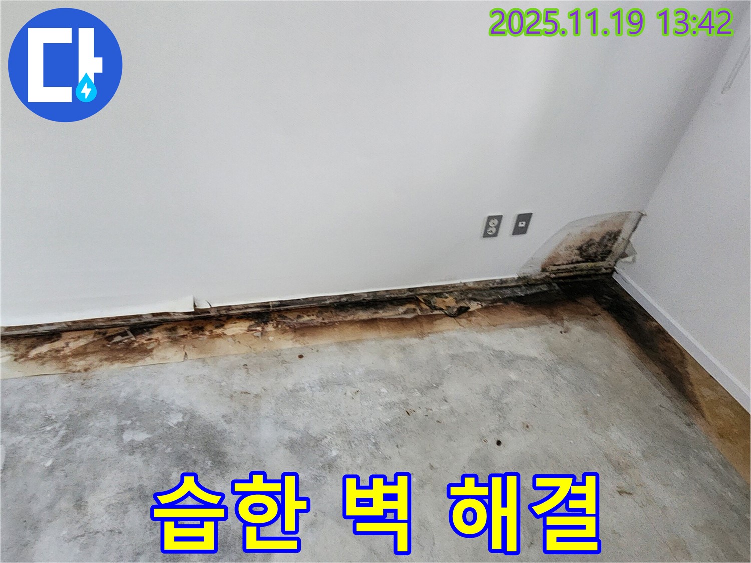 습한 벽과 곰팡이 - 내촌리 누수 해결 최우선