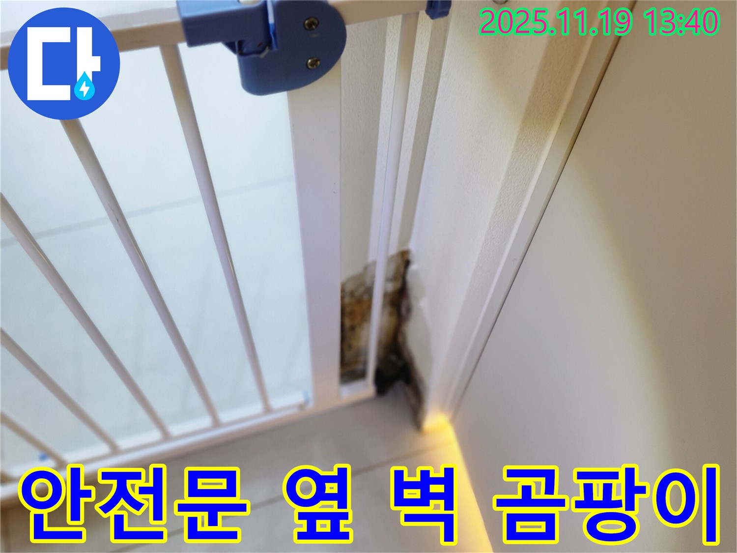 안전 문 옆 벽면의 곰팡이 - 누수로 인해 습기가 발생하여 곰팡이가 생긴 모습입니다.