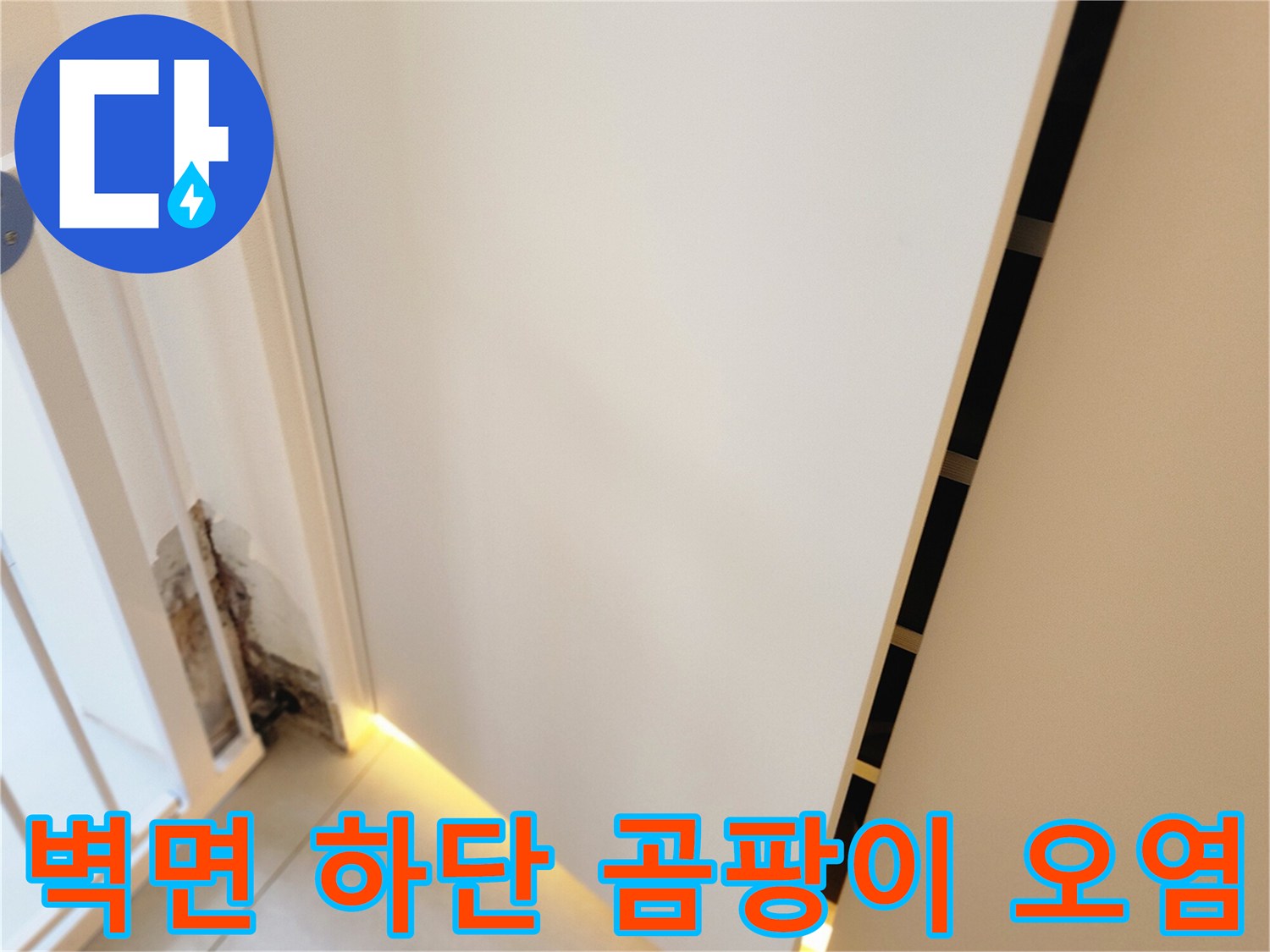 포천 내촌 현장-벽지 하단에 발생한 곰팡이와 변색 부위