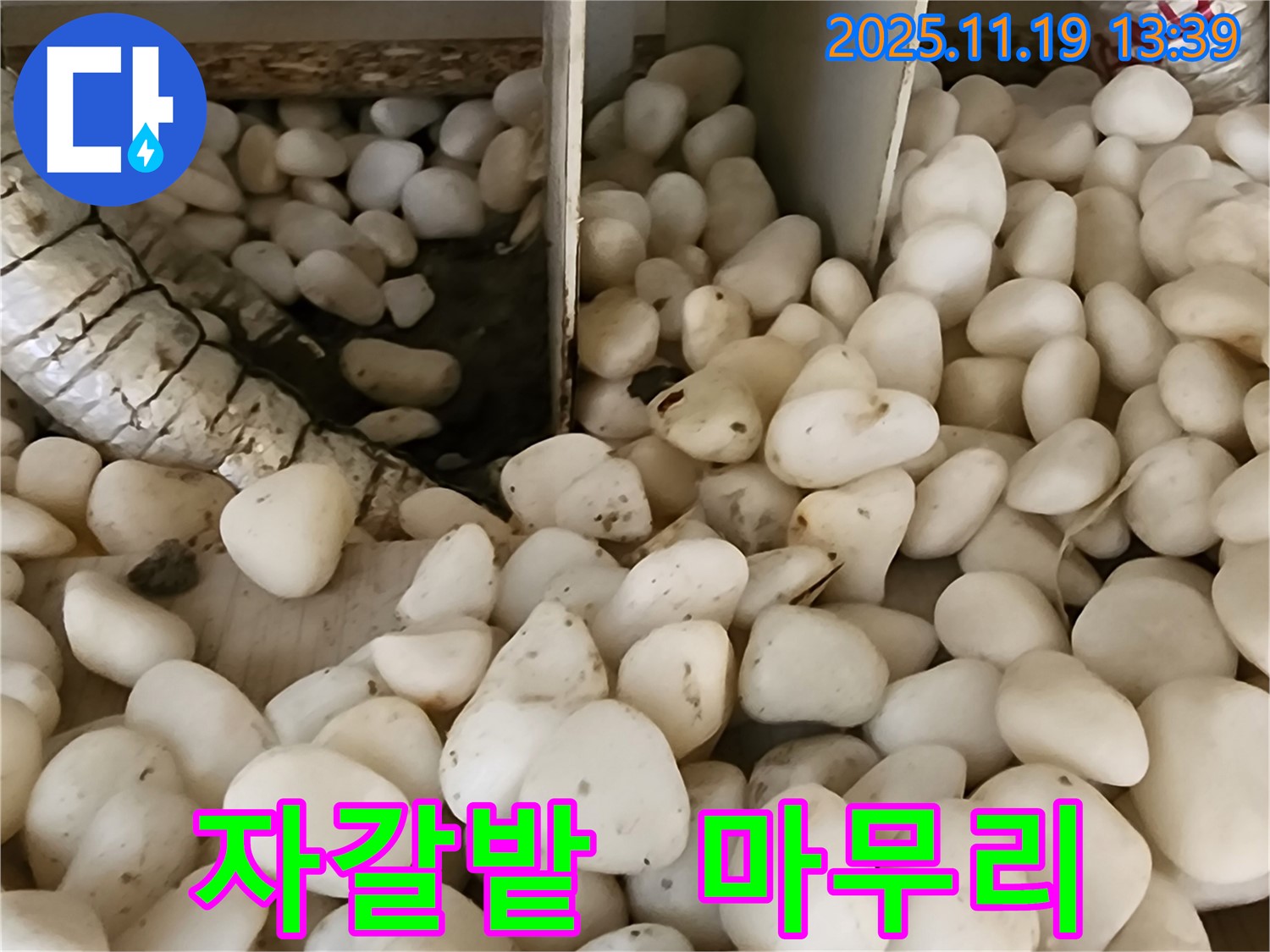 포천시 내촌 누수 - 자갈밭 아래 숨겨진 누수, 완벽하게 해결하고 완벽한 마무리까지!