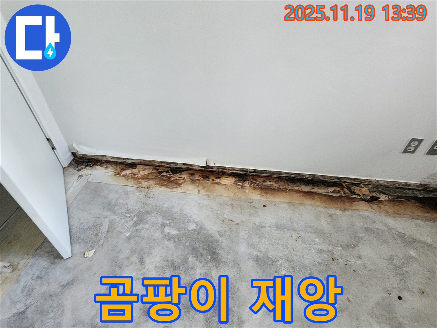 포천시 내촌면 누수 - 걸레받이에 곰팡이 대재앙 발생! 누수 완전 소탕 작전을 개시합니다!