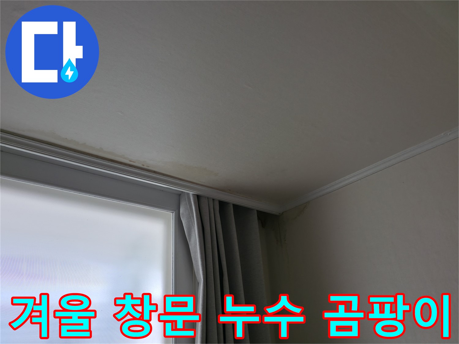 겨울철 창문 누수 - 곰팡이 문제 해결 전문