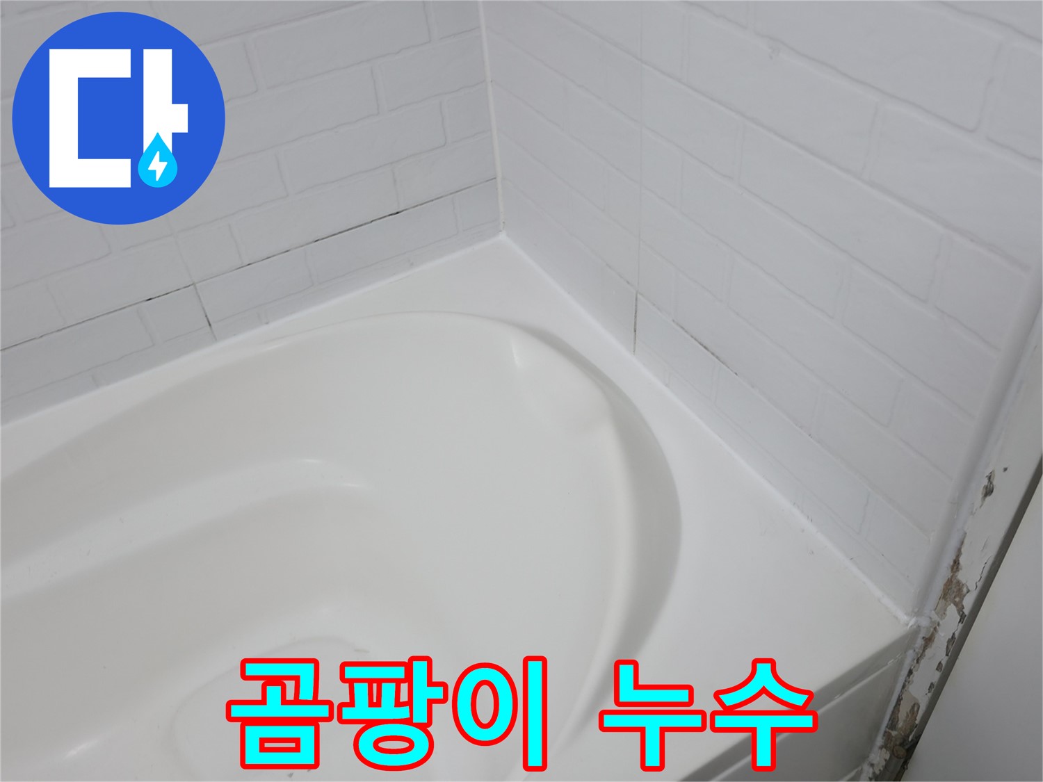 곰팡이 - 누수의 증거입니다.