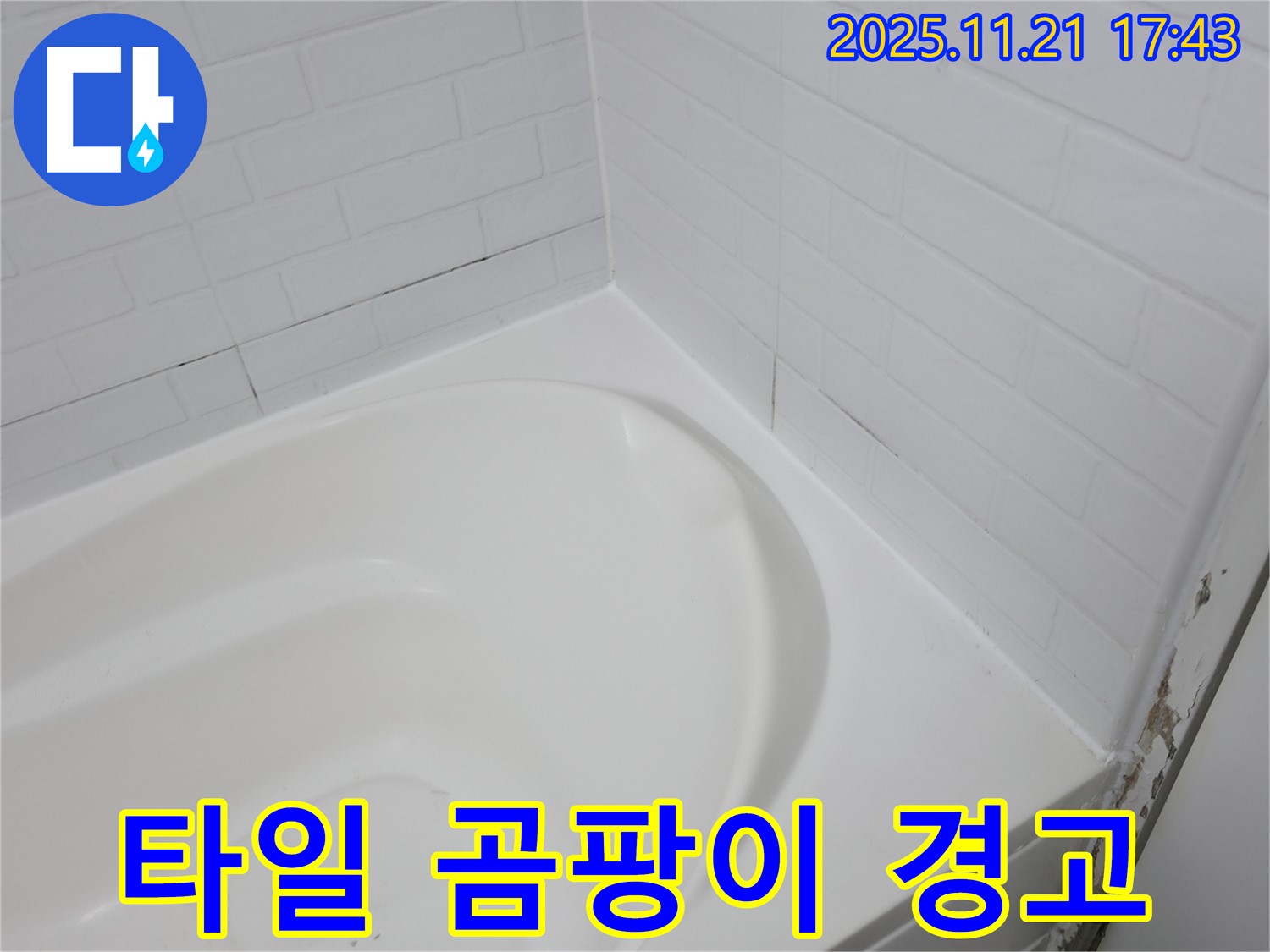 서대문구 세검정 욕조 - 곰팡이 슨 타일 틈새 - 누수 위험 경고