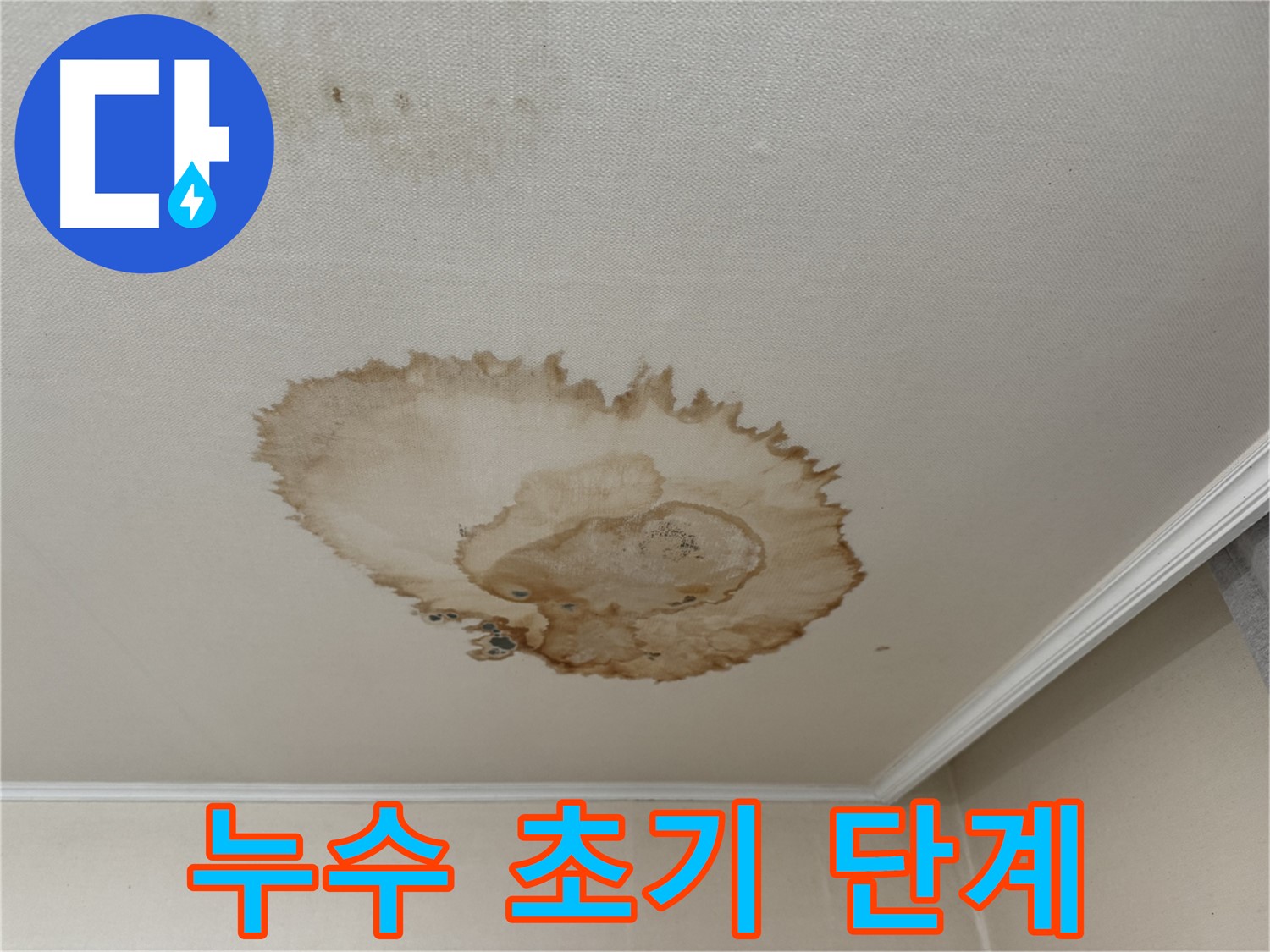 서대문구 세검정로 천장 누수 - 곰팡이 발생 전 누수 초기 단계