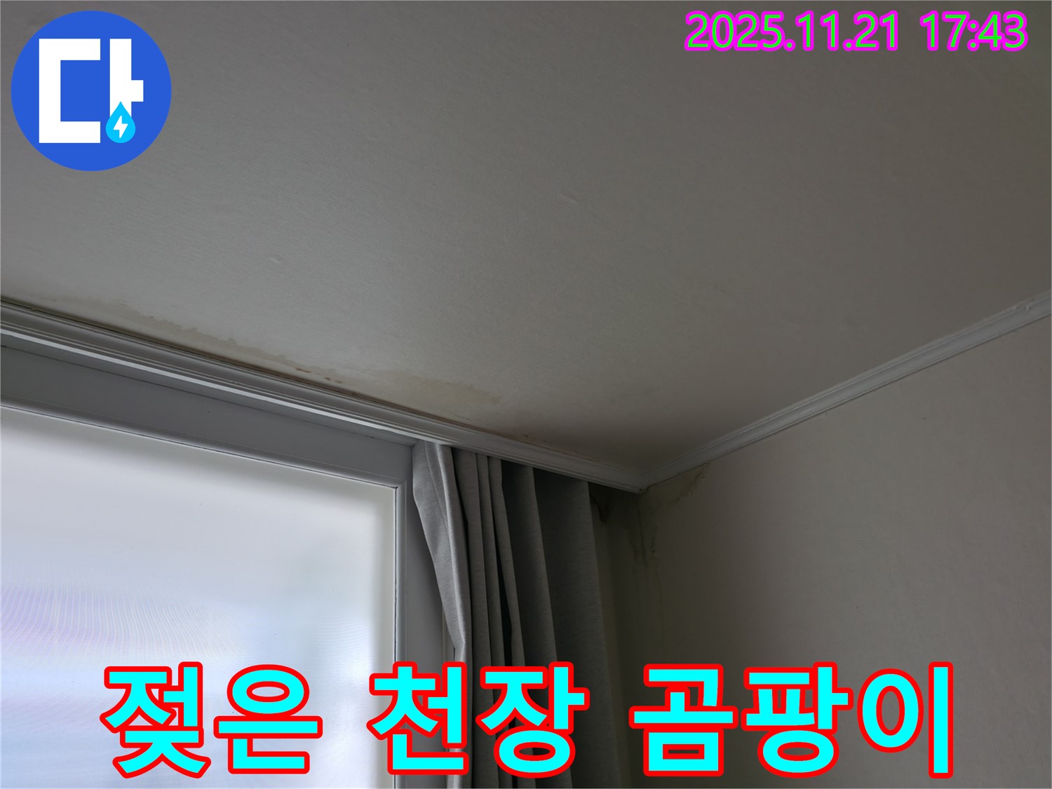서대문구 젖은 천장 - 곰팡이 냄새 - 건강 적신호 - 긴급 점검