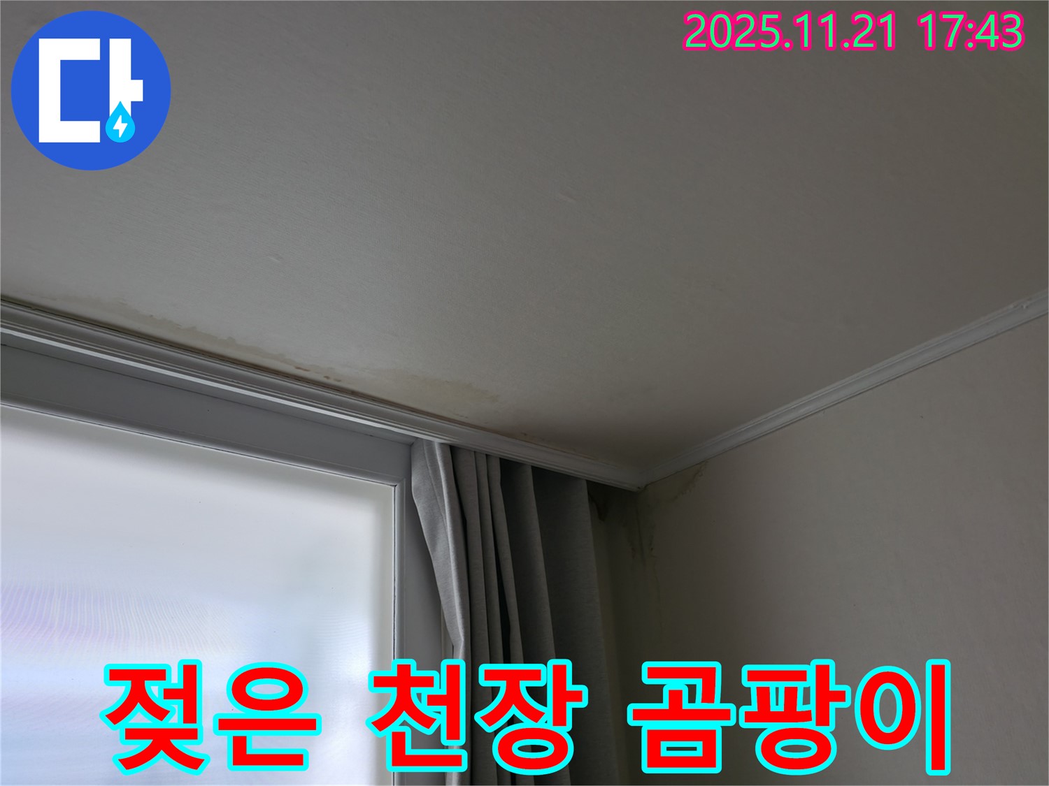 서대문구 젖은 천장 - 곰팡이 냄새 - 건강 적신호 - 긴급 점검