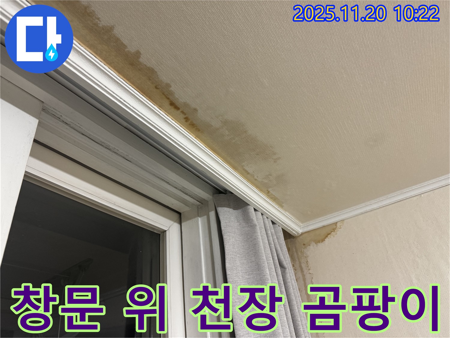서대문구 창문 위 천장 누수 - 곰팡이 제거 및 완벽 방수 시공