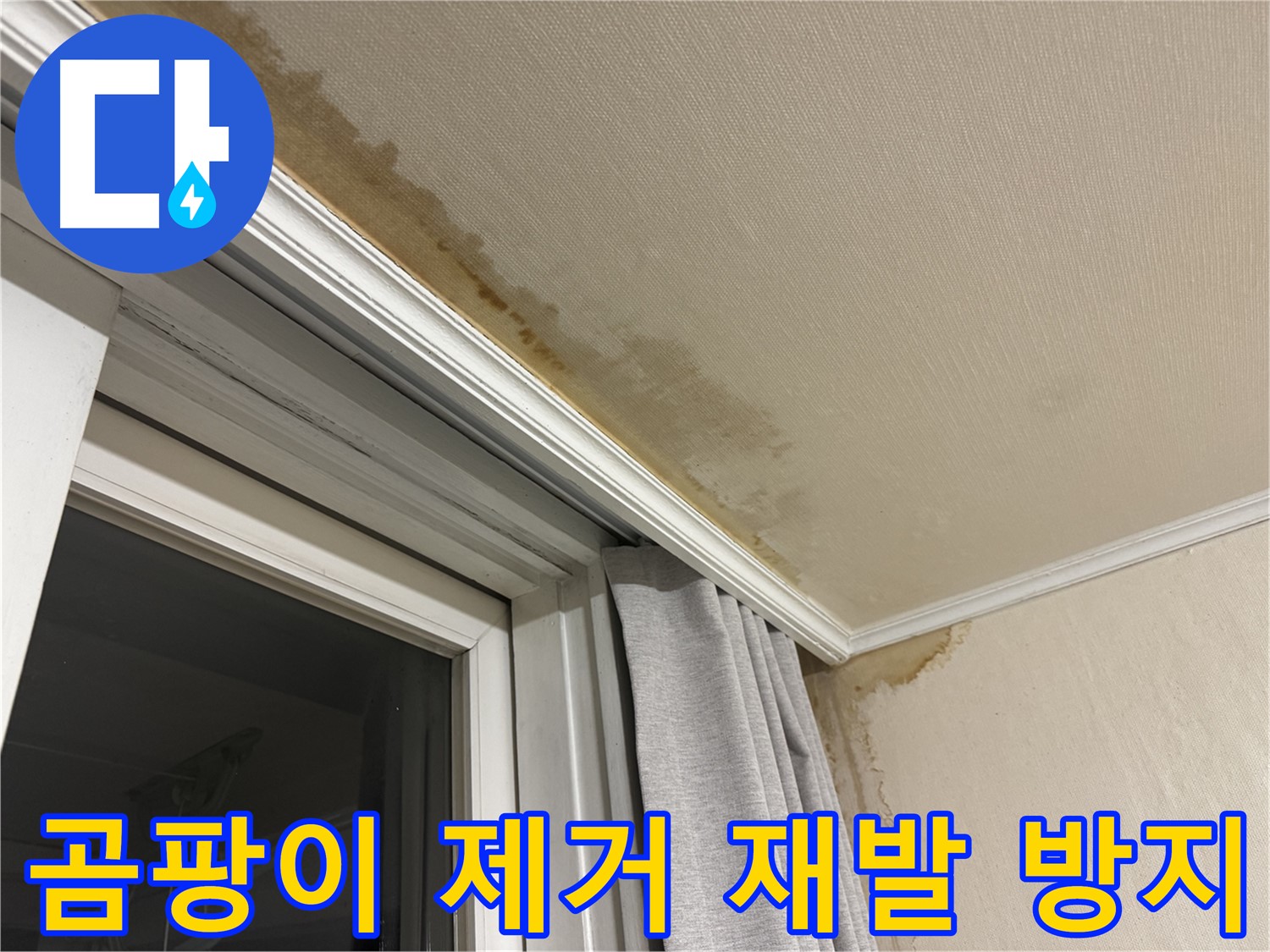 서대문구 창문 주변 천장 곰팡이 - 완벽 제거 및 재발 방지 시공 이미지입니다.