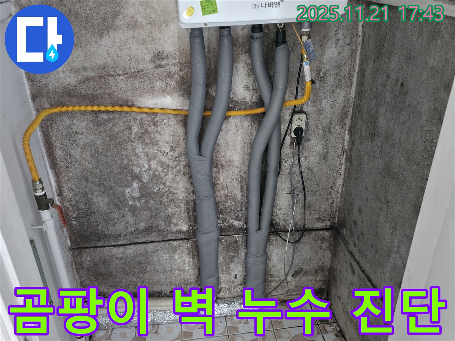 서대문구 홍제2동 곰팡이 - 누수 진단으로 해결