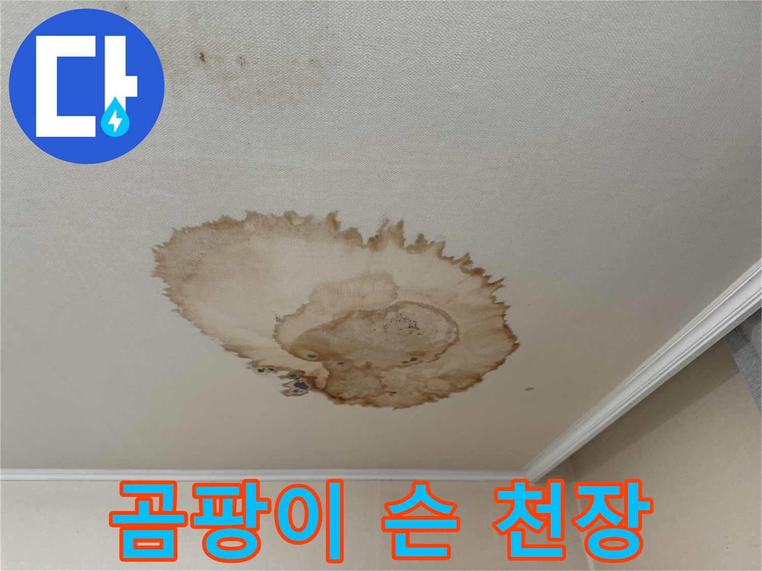 세검정 누수 - 곰팡이가 심하게 슨 천장 누수