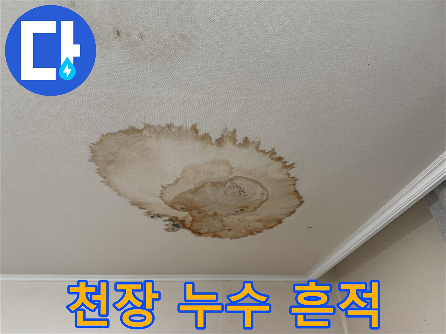 세검정에서 발생한 천장 누수 흔적 - 물이 스며든 자국과 변색된 천장을 보여주는 사진