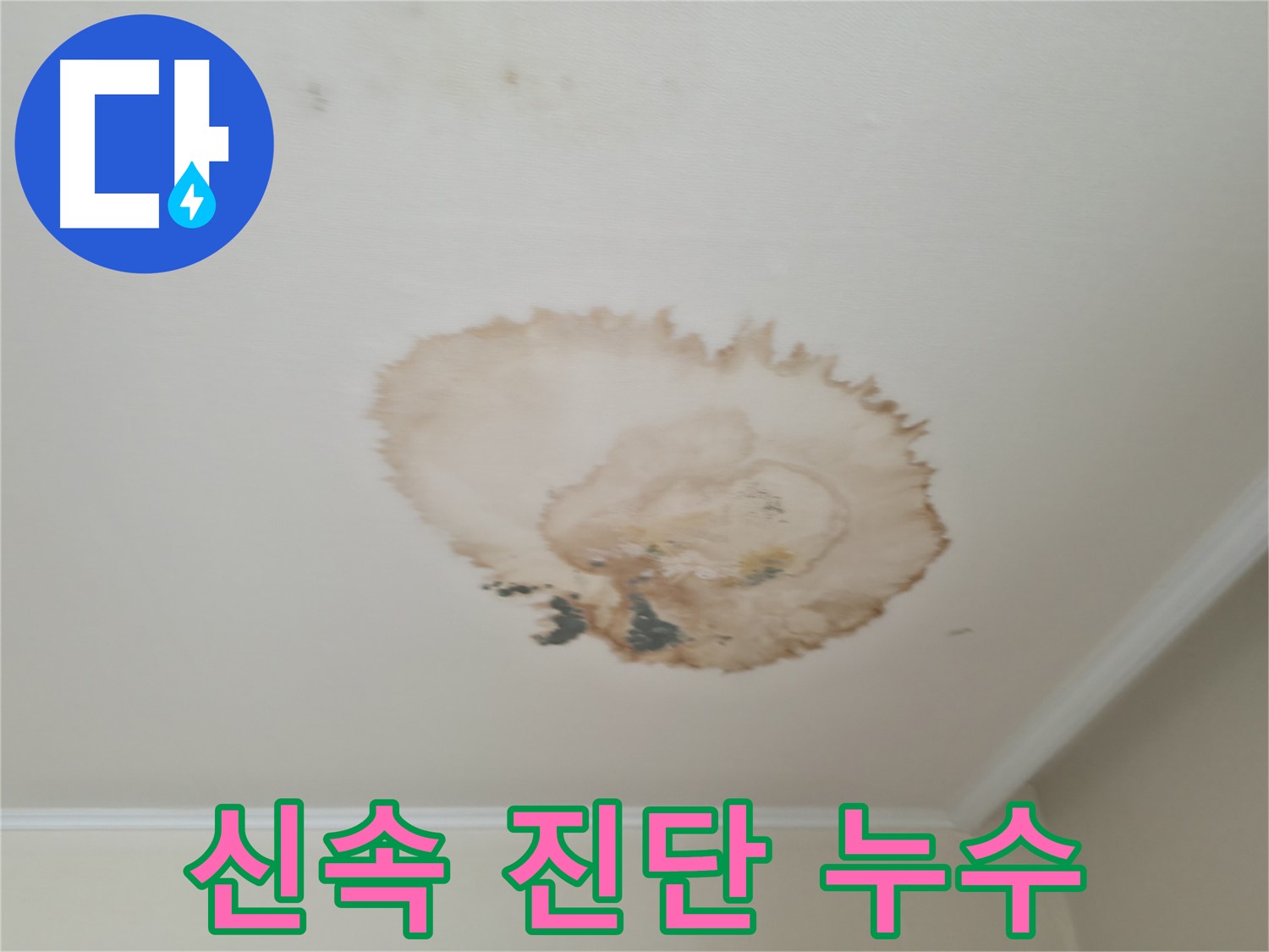 신속 진단 - 천장 누수 해결 - 서대문구 세검정로