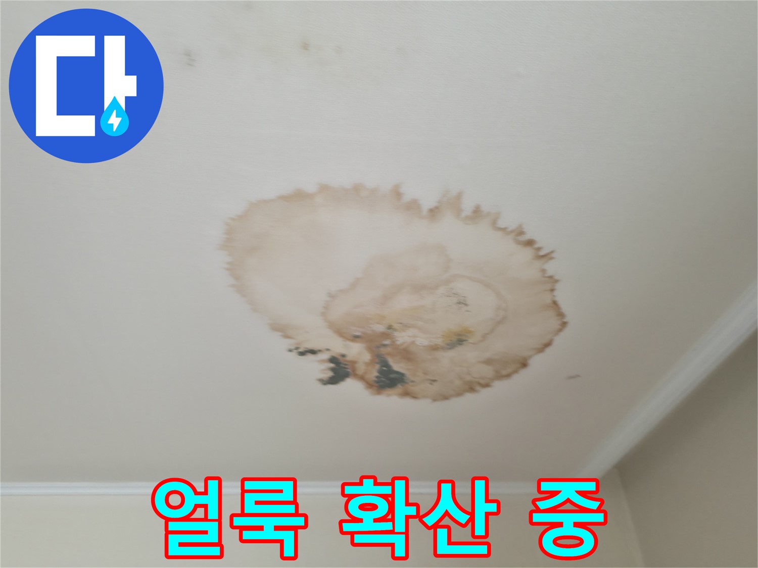 얼룩 확산 - 누수탐지 빠른 해결 - 서대문구 세검정로