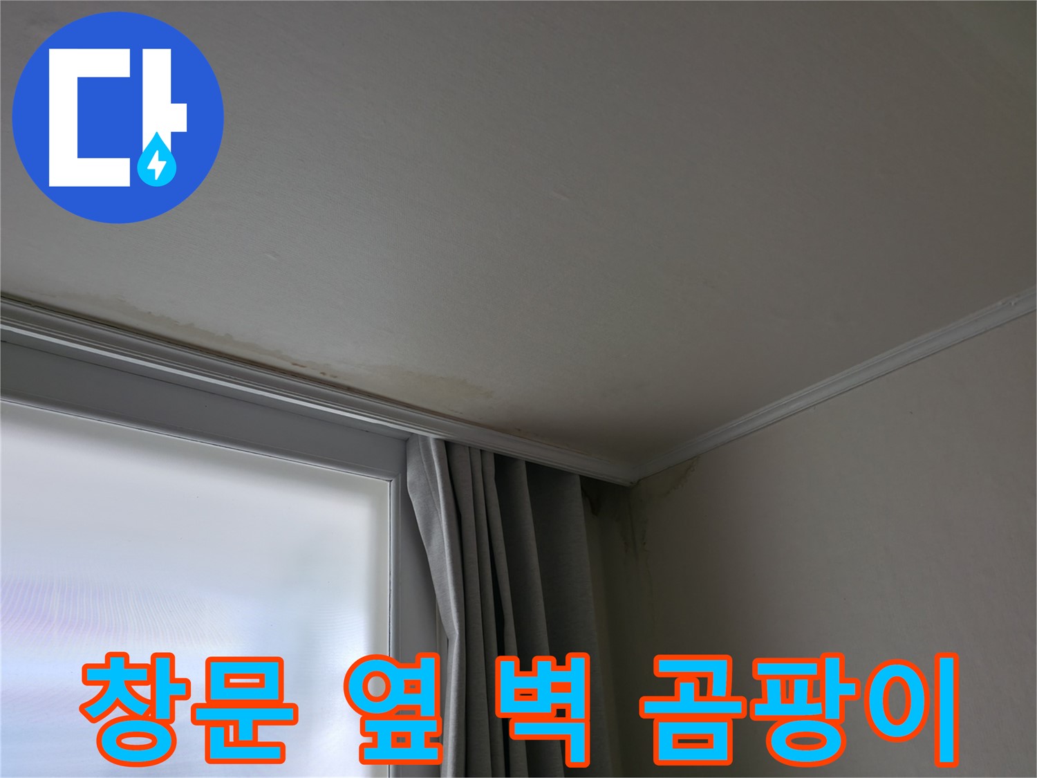 창문 옆 벽 곰팡이 - 결로와 누수 동시 해결