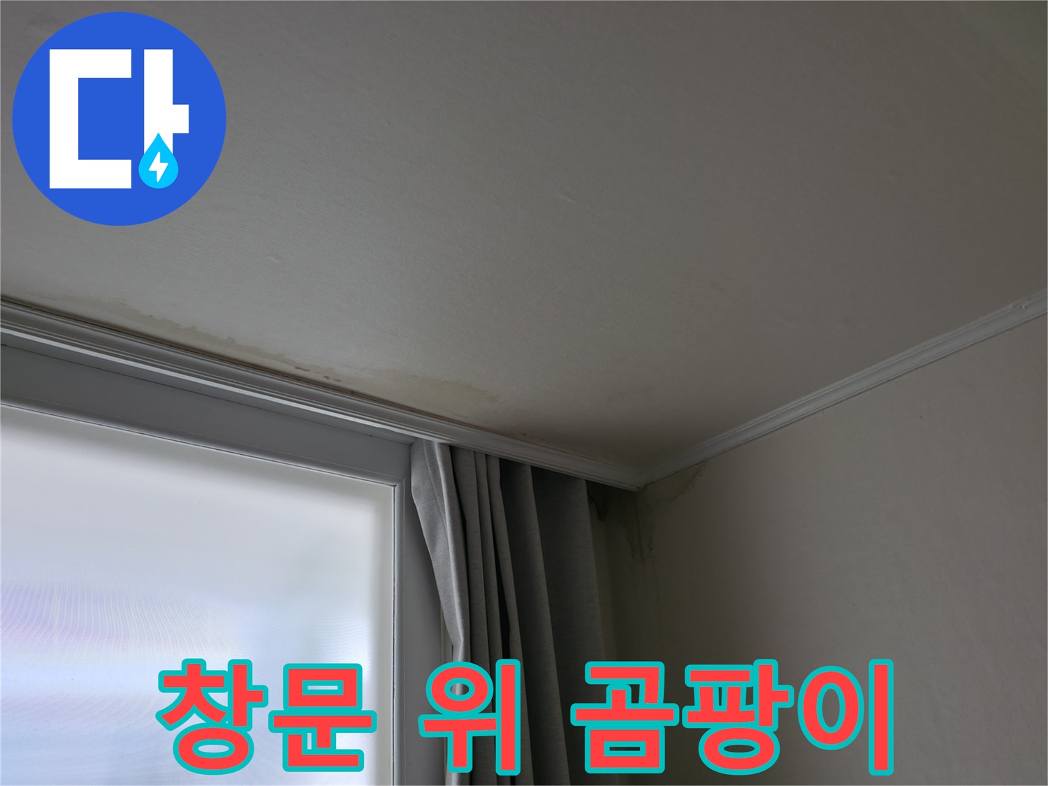 창문 위 곰팡이 - 누수와 결로 동시 의심