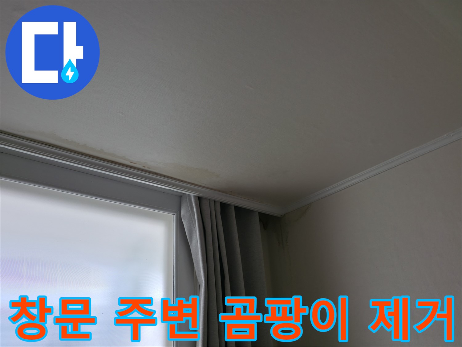 창문 주변 곰팡이 - 곰팡이 제거 및 재발 방지