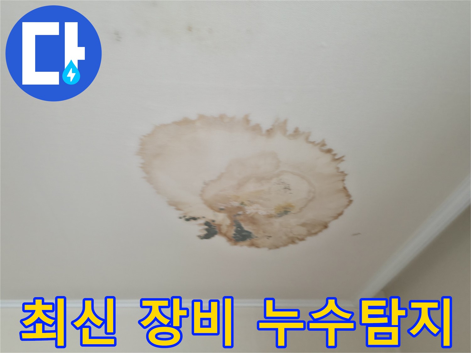 최신 장비 - 정확한 누수탐지 - 서대문구 북가좌동