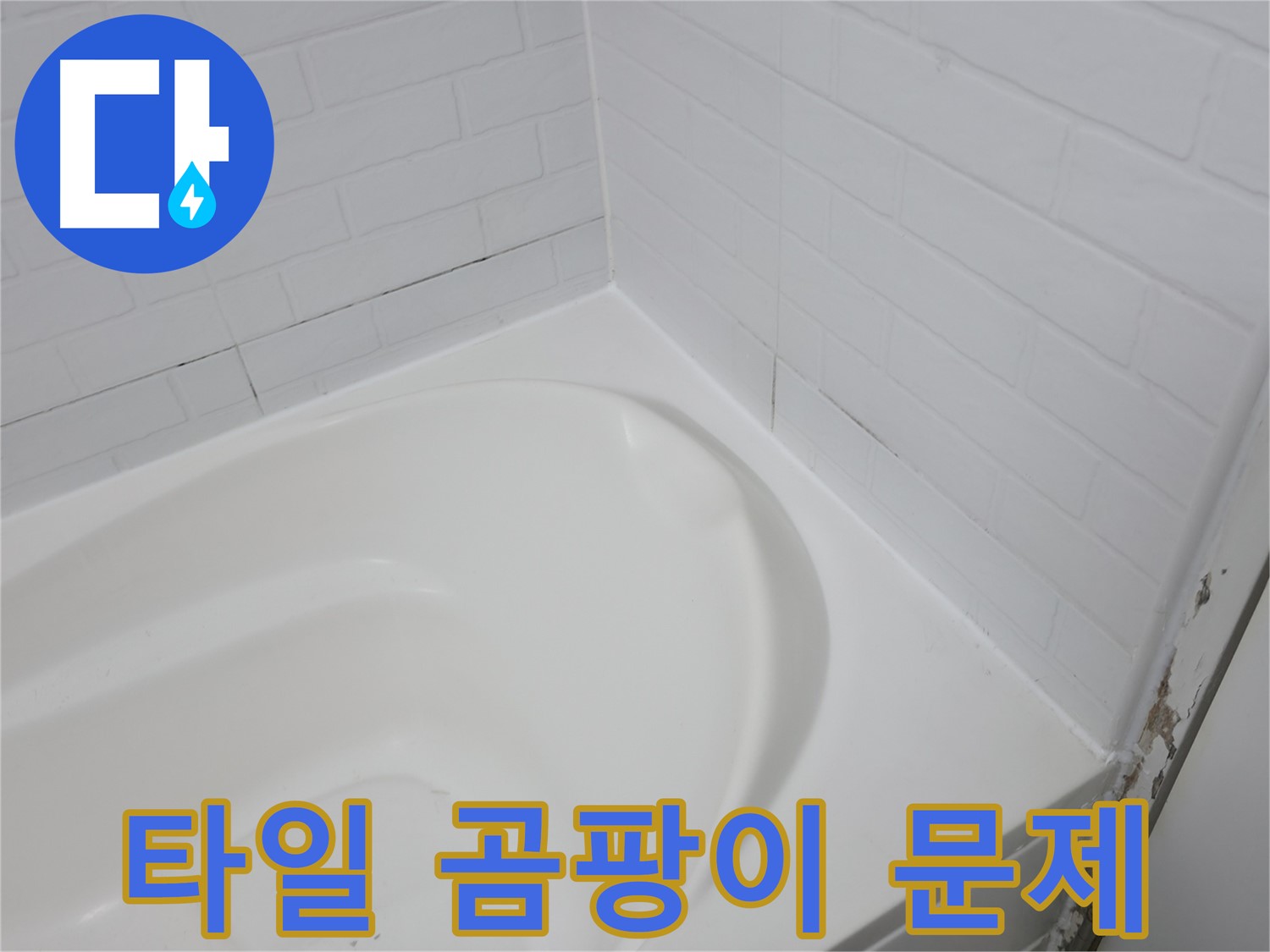 타일 곰팡이 - 습기와 누수의 합작품입니다.