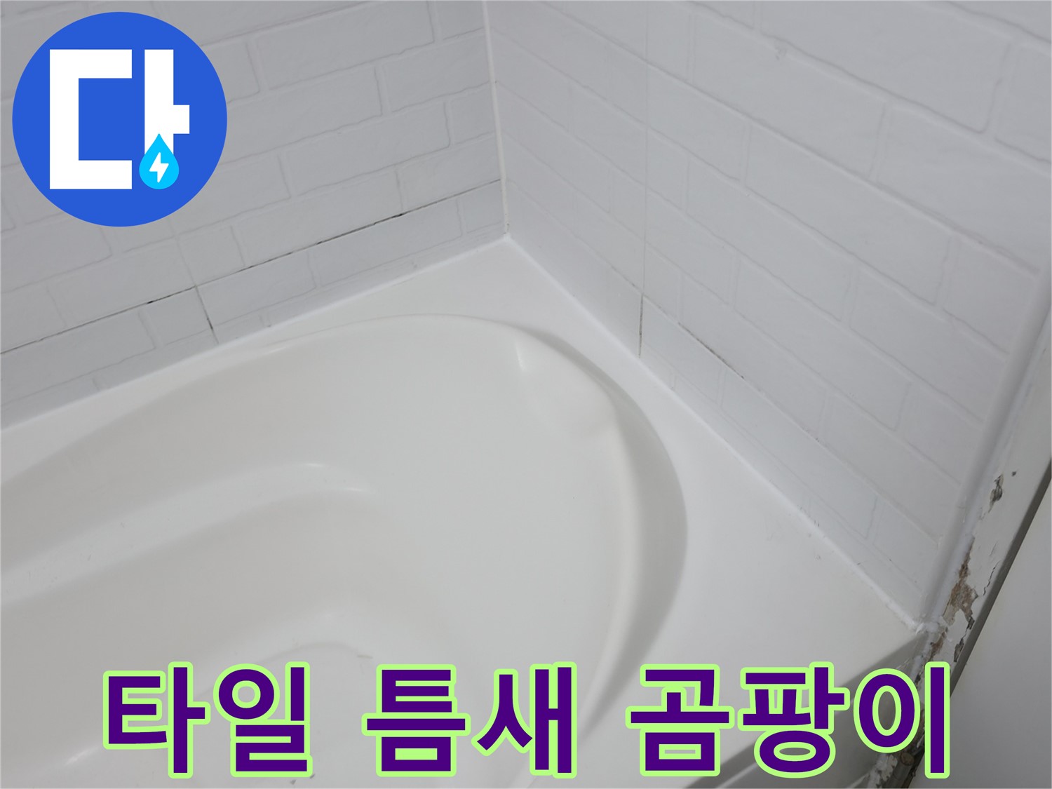 타일 틈새 - 곰팡이의 온상