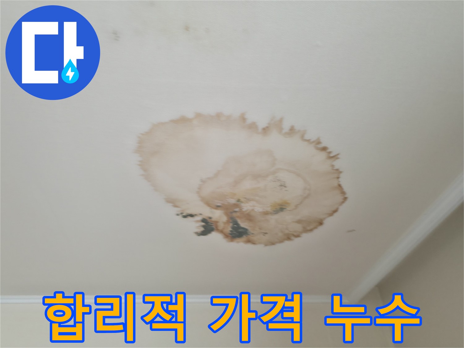 합리적인 가격 - 천장 누수 - 북가좌1동 누수