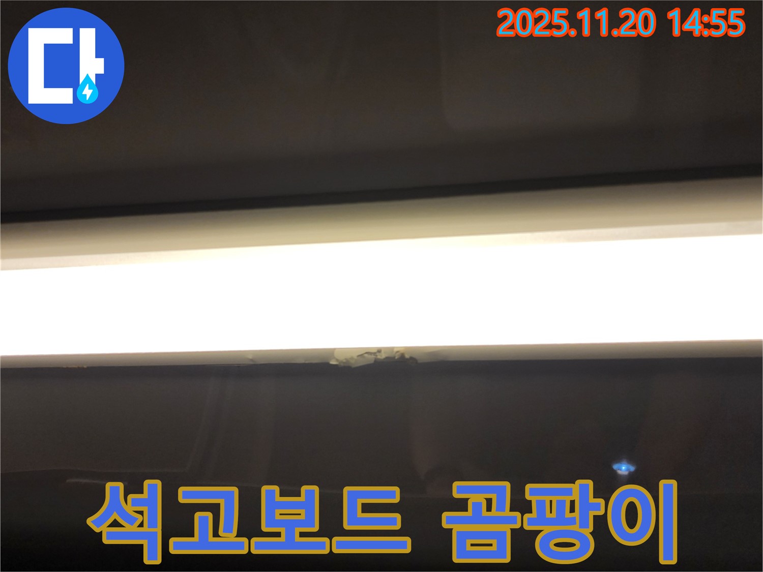 LED 조명 주변 석고보드 곰팡이 - 누수 원인, 건강 위협, 빠른 제거 필수