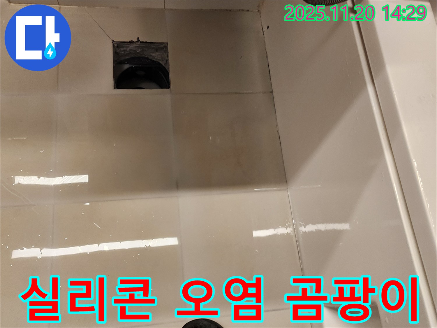가산면 마산리 욕실 배수구 누수 - 실리콘 오염 및 곰팡이 발생 상태 점검