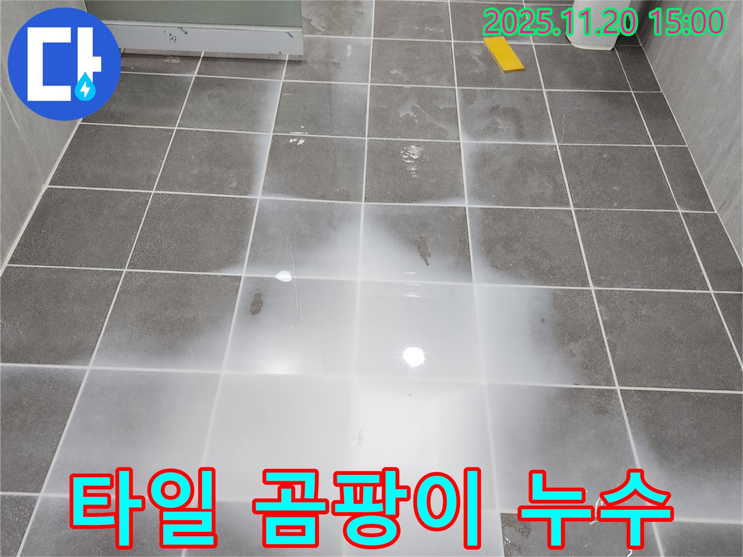 세탁실 타일에 곰팡이가 핀 모습 - 누수 때문에 생긴 것일 수 있습니다.