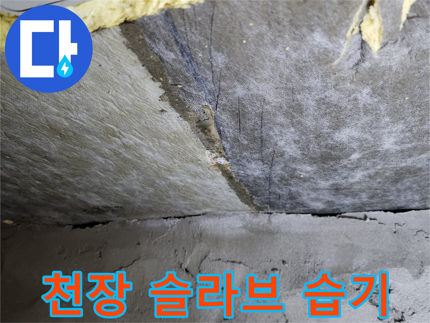 욕실 천장 슬라브-배관 주변의 젖은 흔적과 습기 상태