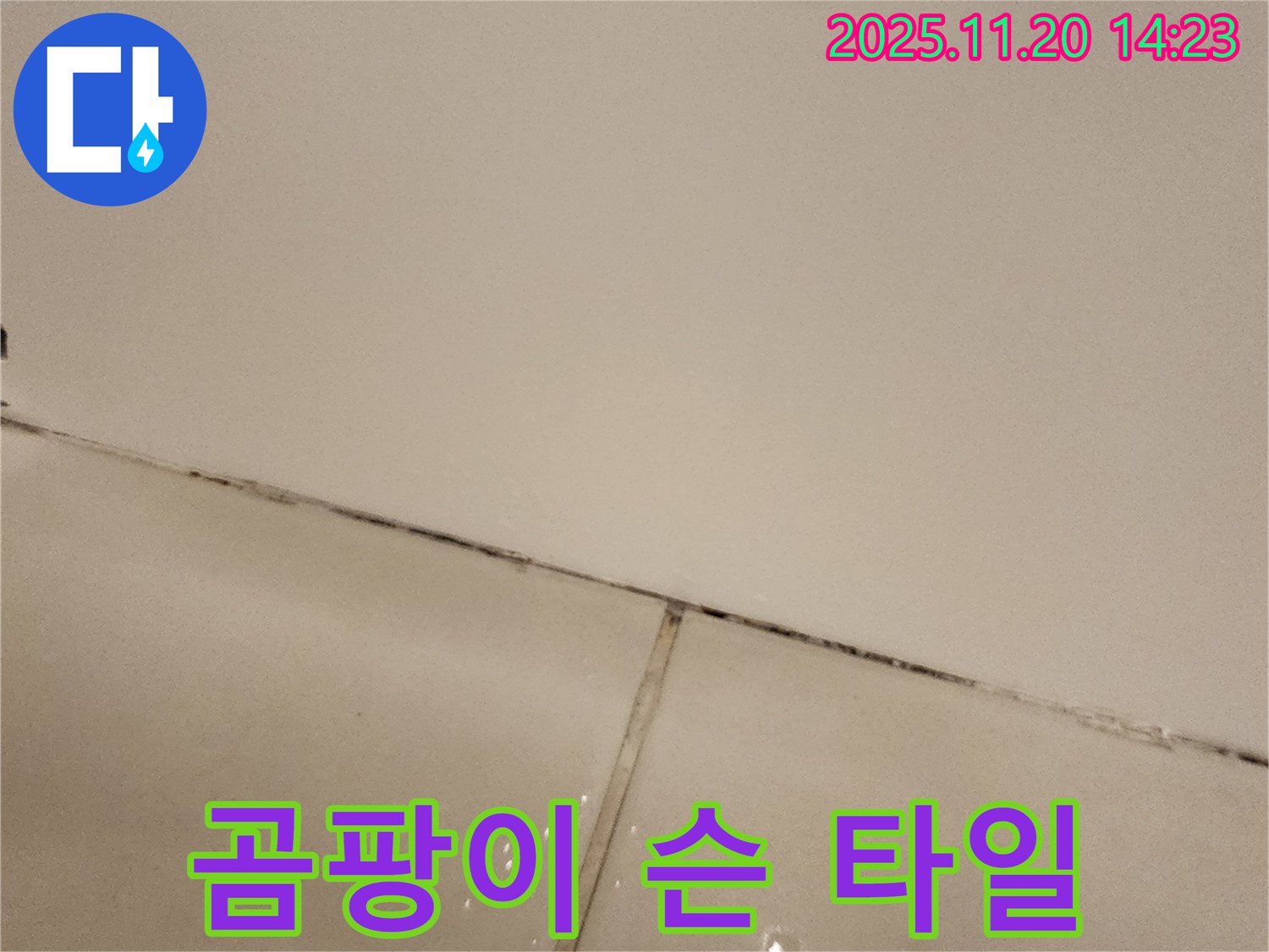 포천 가산면 마산리 - 곰팡이 슨 타일 틈새, 누수 초기 발견