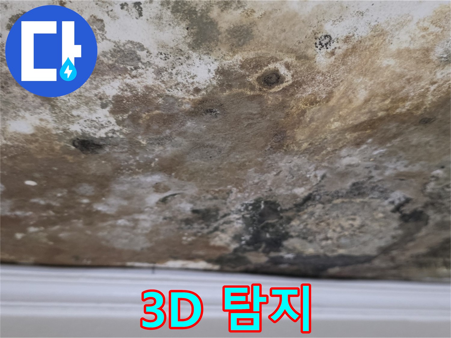 3D 정밀 누수 탐지 - 3D 정밀 탐지 장비를 이용하여 누수 지점을 찾는 모습입니다.