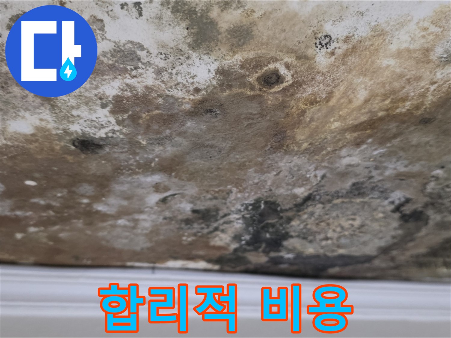 곰팡이 천장 - 합리적인 비용으로 누수 해결