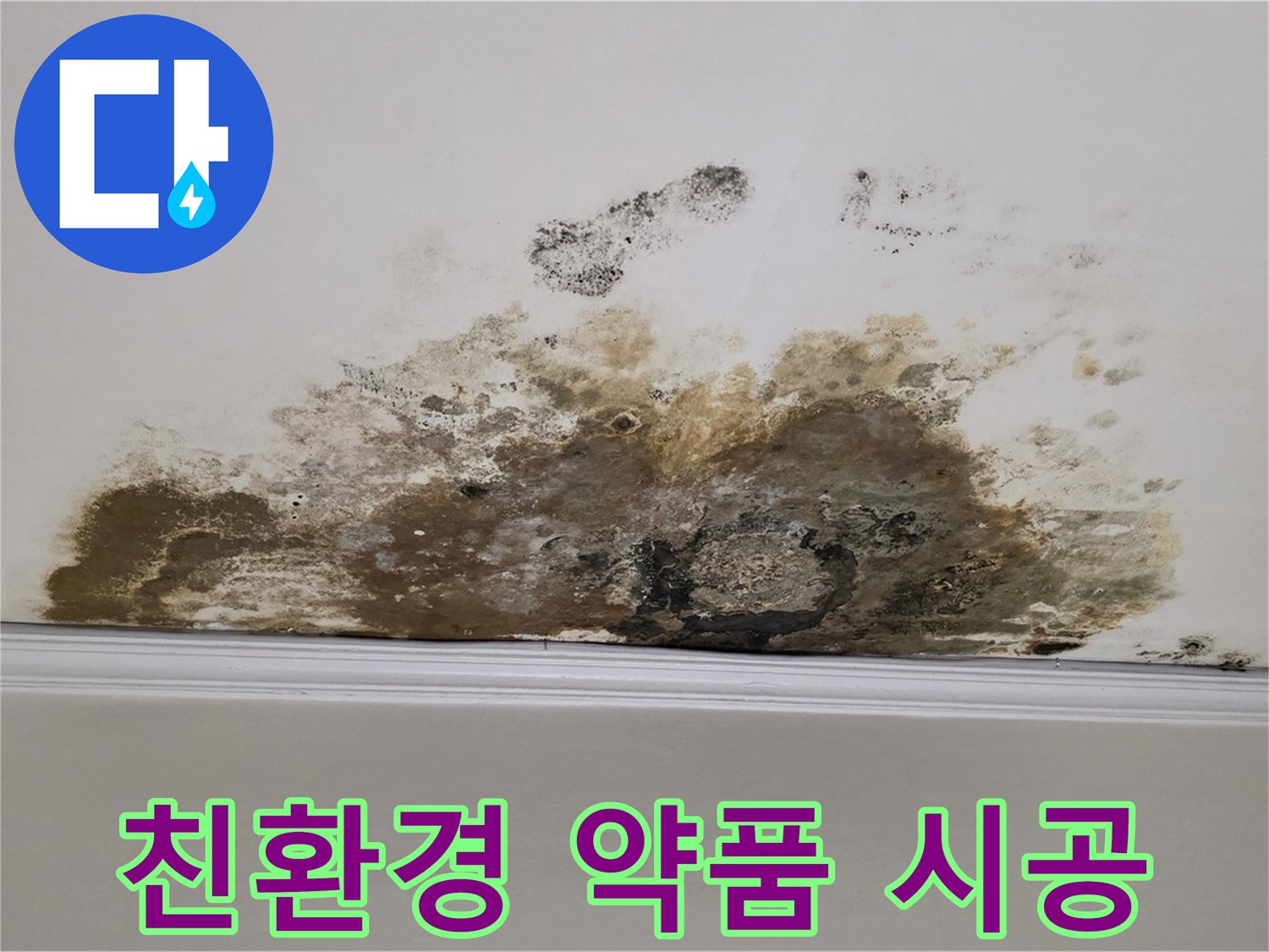 마포 용강동 현대홈타운 아파트 누수 - 곰팡이 제거, 친환경 약품 사용, 안심 시공